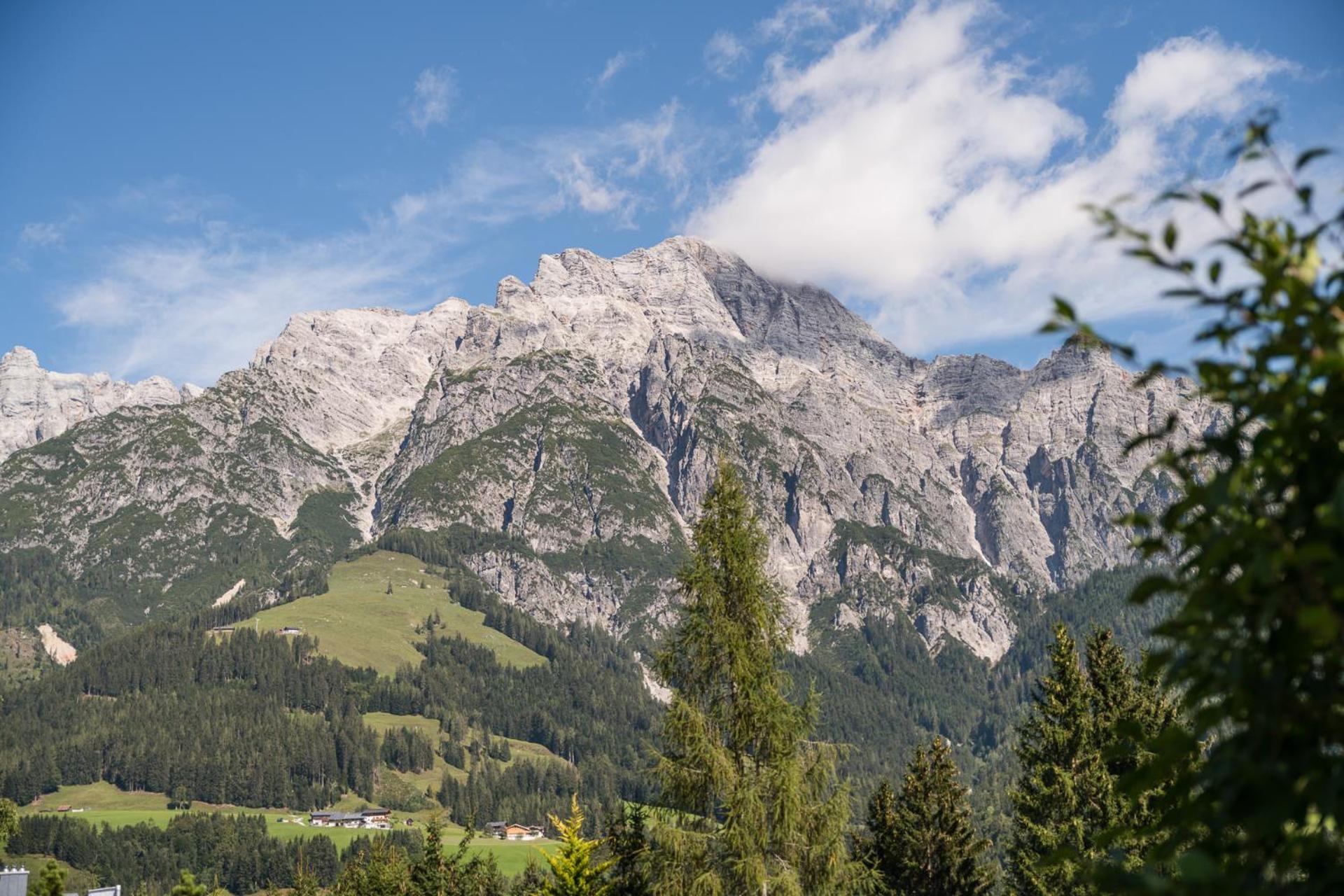Chalet Steinberg Leogang Dış mekan fotoğraf